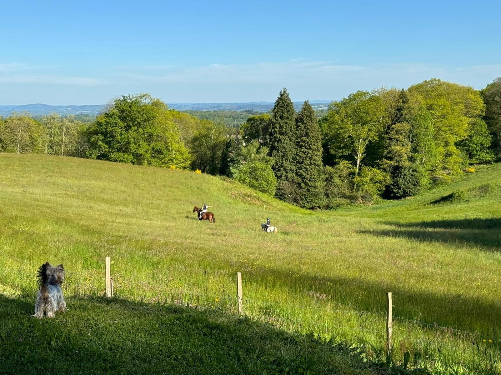 Domaine De Montmery Sa Piscine Son Jardin Ses Espaces Ambazac Exteriér fotografie