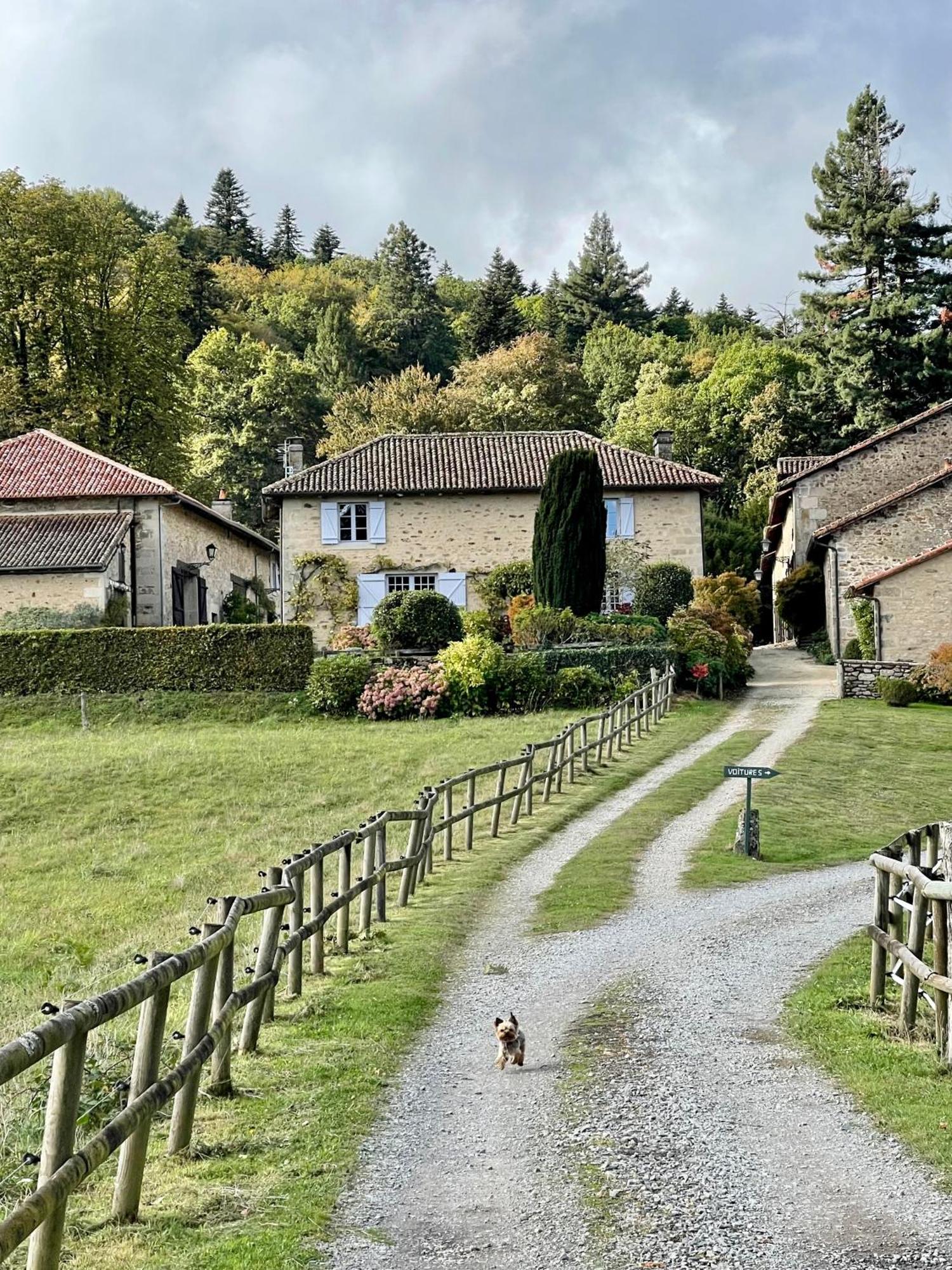 Domaine De Montmery Sa Piscine Son Jardin Ses Espaces Ambazac Exteriér fotografie